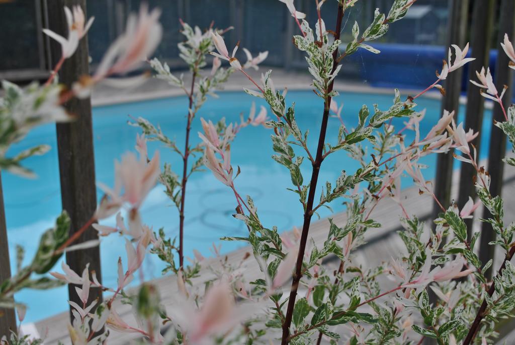 L'Arbre D'Alais Bed & Breakfast Saint-Fulgent Exterior photo